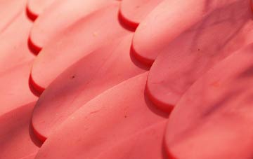 Puttock End plastic roof costs