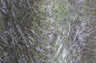 Puttock End fibreglass roof work